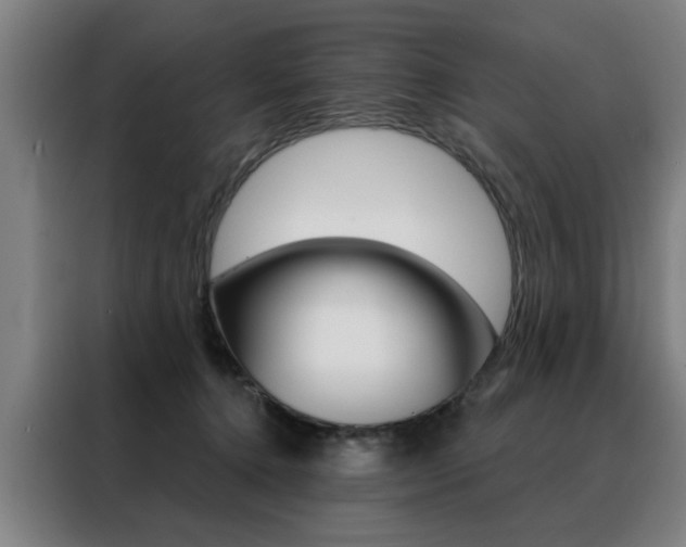 X0000088430368200705220859