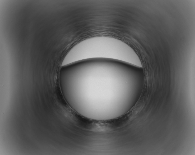 X0000088430372200705220859