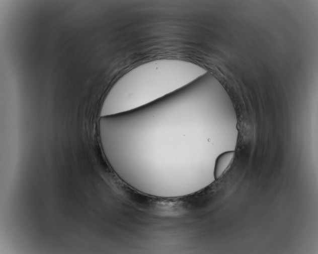 X0000088430375200705220859