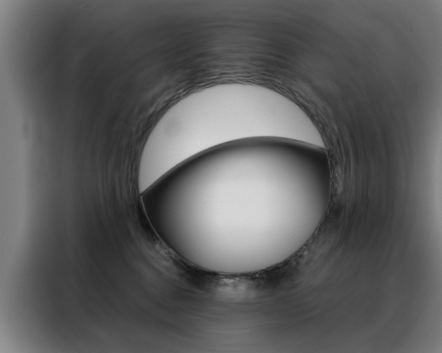 X0000088430376200705220859