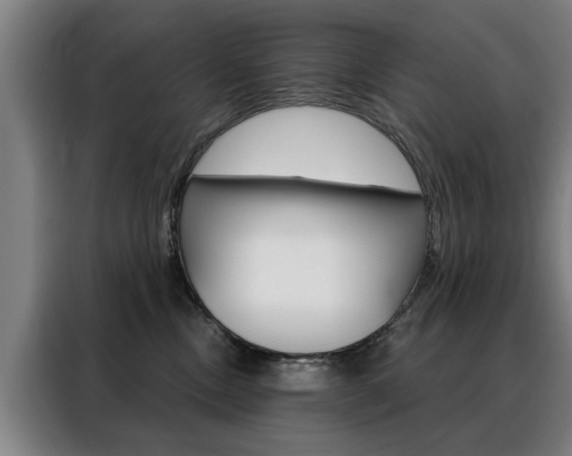 X0000088430378200705220859