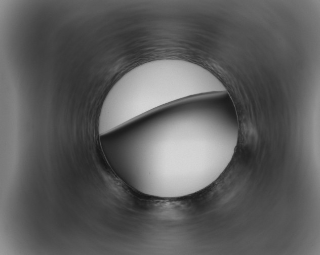 X0000088430379200705220859