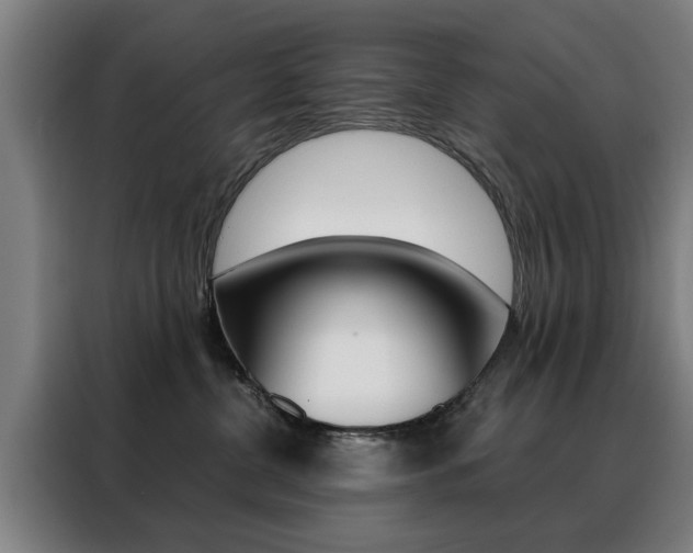 X0000088430380200705220859