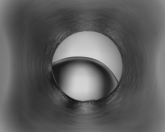 X0000088430384200705220859