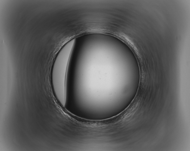X0000088430385200705220858