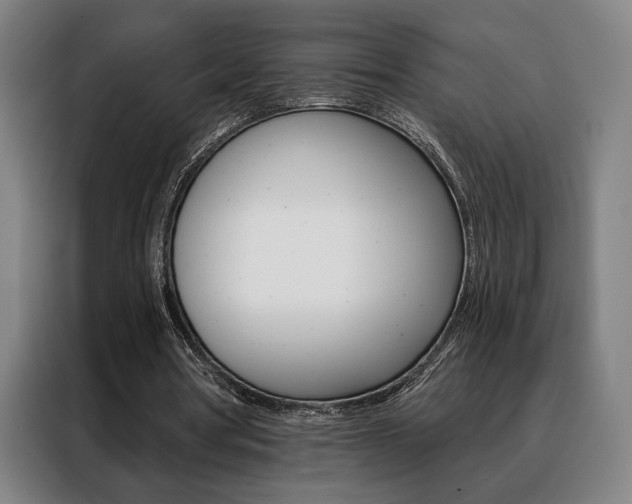 X0000088430386200705220858