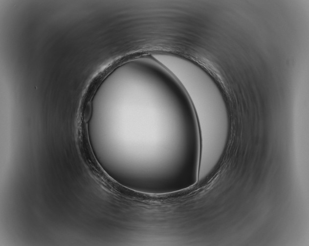 X0000088430388200705220858