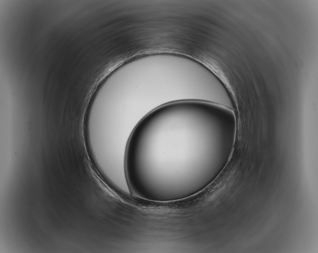 X0000088430389200705220858