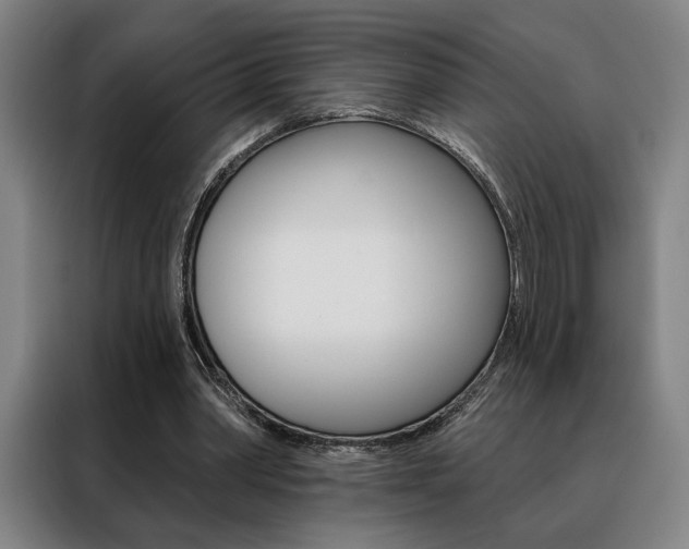 X0000088430390200705220858