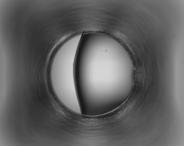 X0000088430395200705220858