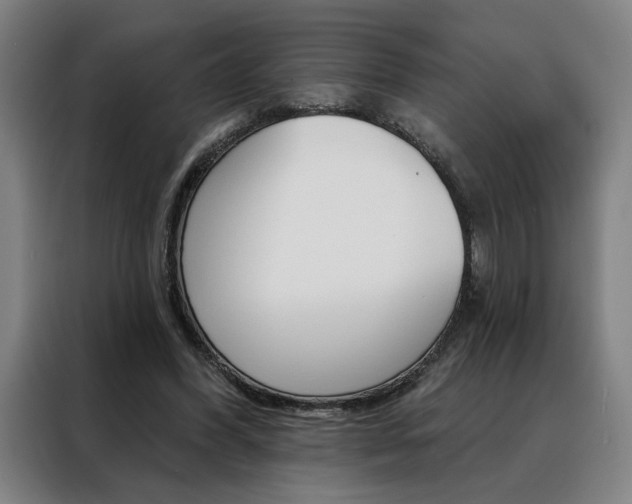 X0000088430396200705220858