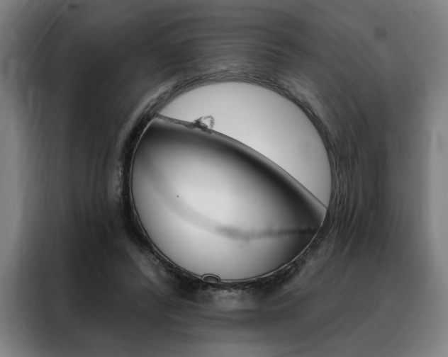 X0000088430400200705220858