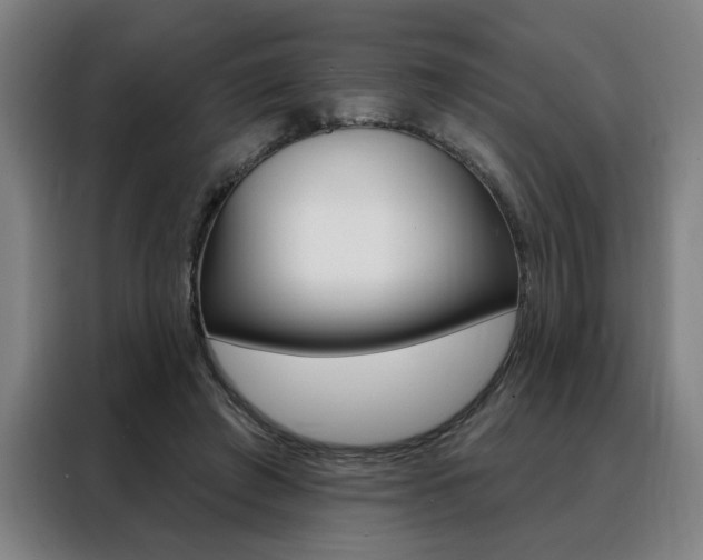 X0000088430401200705220858