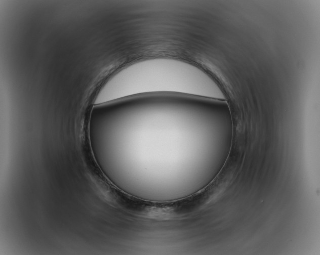 X0000088430403200705220858