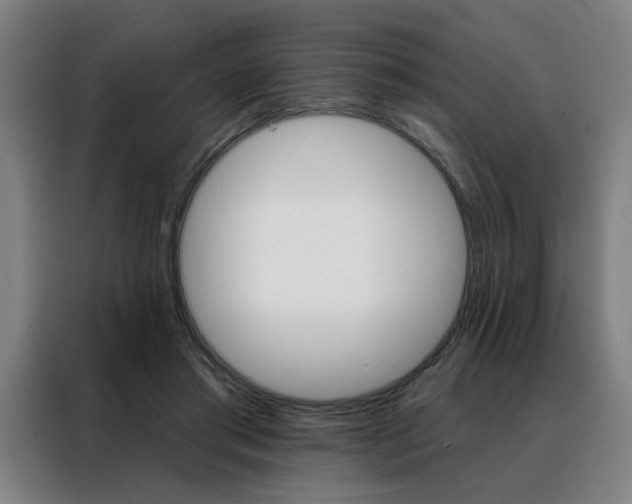 X0000088430405200705220858