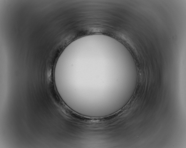 X0000088430406200705220858