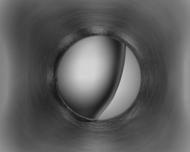 X0000088430407200705220858