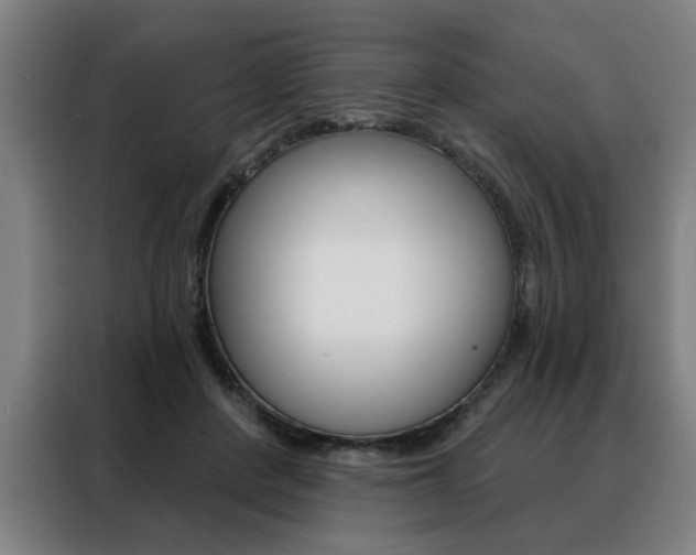 X0000088430408200705220858