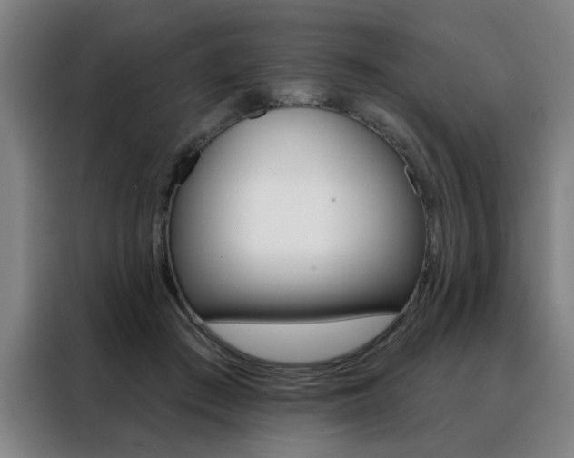X0000088430409200705220858