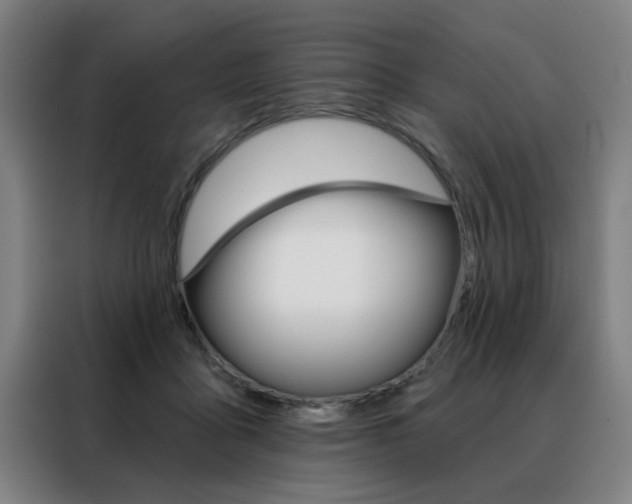 X0000088430411200705220858