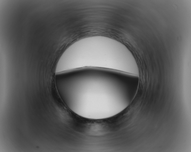 X0000088430412200705220858