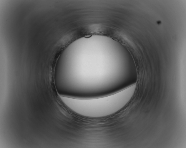X0000088430413200705220858