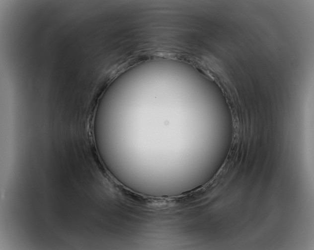 X0000088430415200705220858