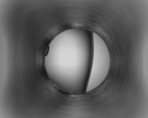 X0000088430417200705220858