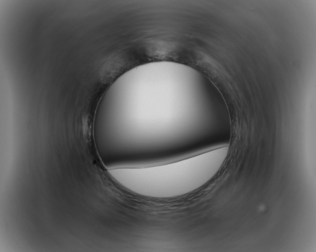X0000088430420200705220858