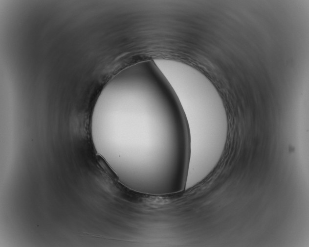 X0000088430421200705220858