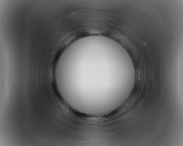 X0000088430422200705220858