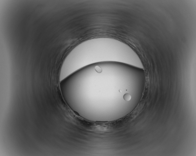 X0000088430423200705220858
