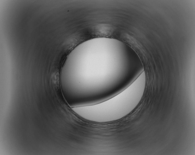 X0000088430425200705220858
