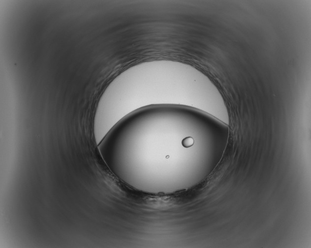 X0000088430428200705220858