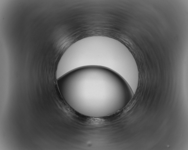 X0000088430429200705220858
