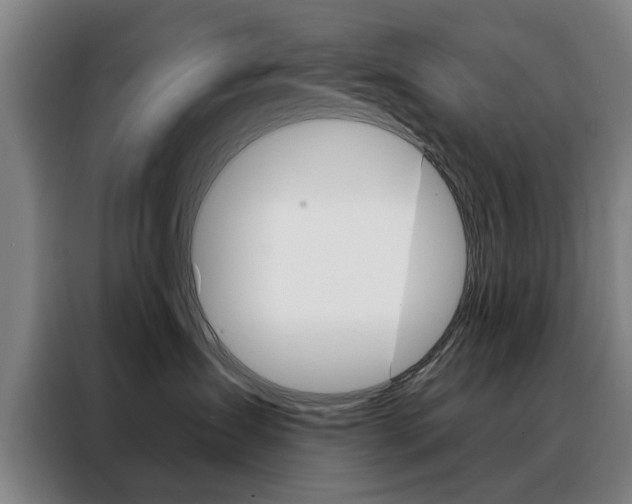 X0000088430431200705220858