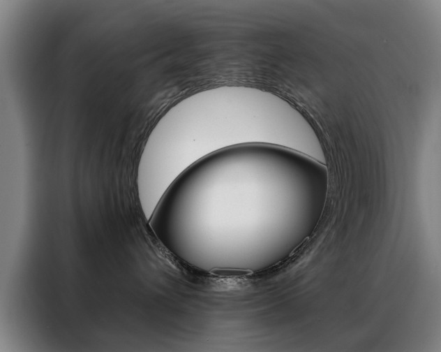 X0000088430432200705220858
