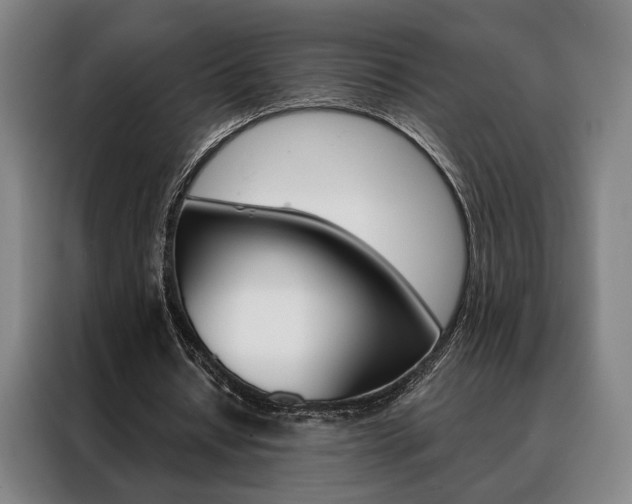 X0000088430434200705220857