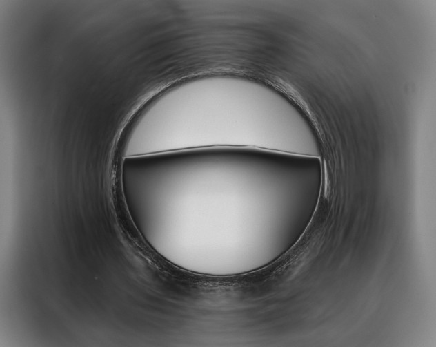 X0000088430435200705220857