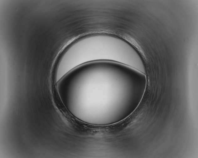 X0000088430436200705220857