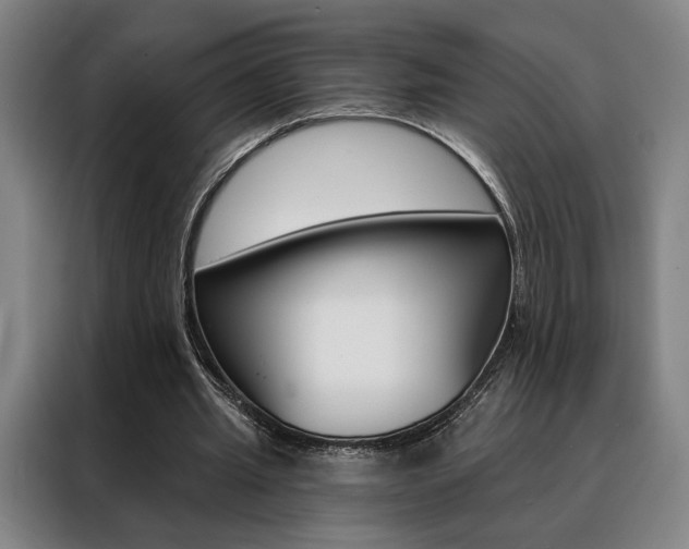 X0000088430437200705220857