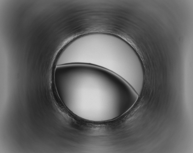X0000088430438200705220857