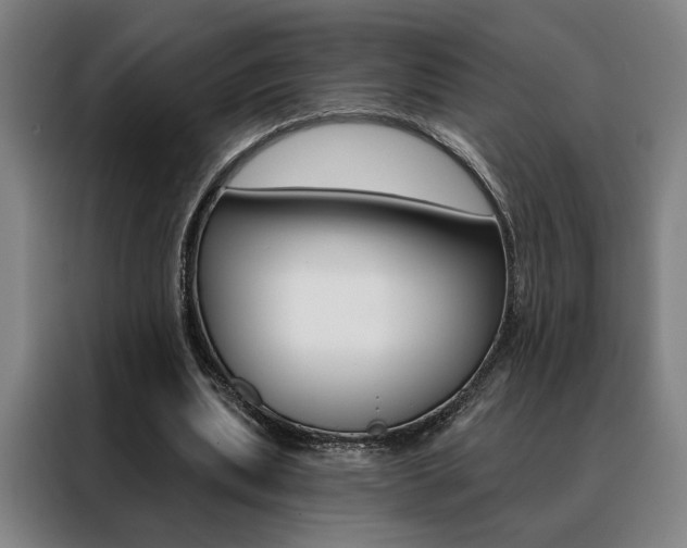 X0000088430439200705220857