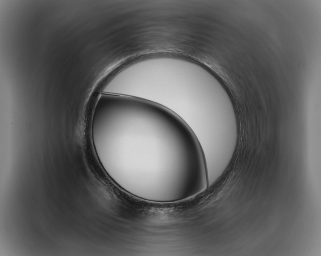 X0000088430440200705220857
