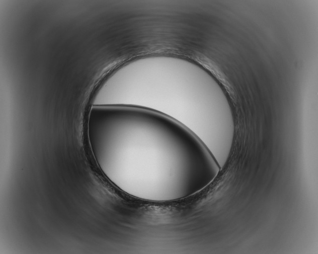 X0000088430442200705220857