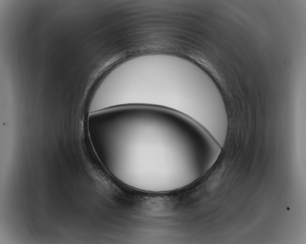 X0000088430446200705220857