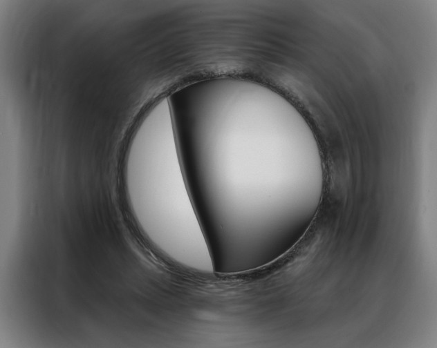 X0000088430447200705220857