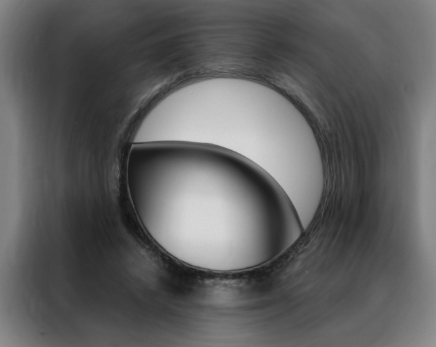 X0000088430448200705220857
