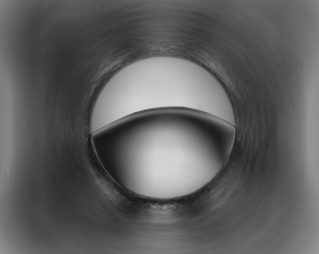 X0000088430450200705220857
