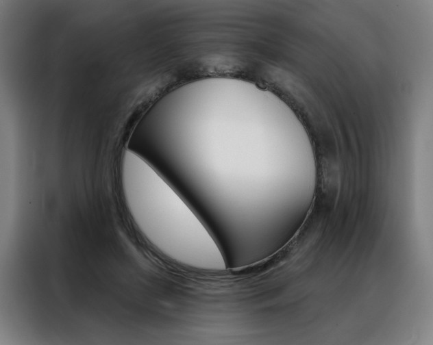 X0000088430451200705220857
